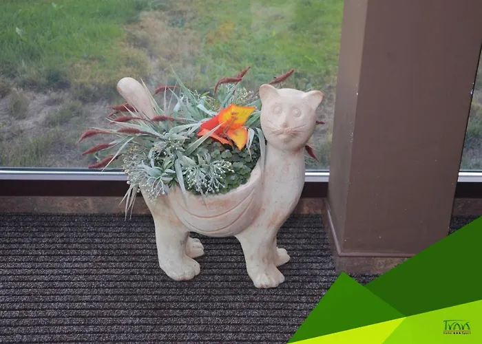 Отель Trawa Sport